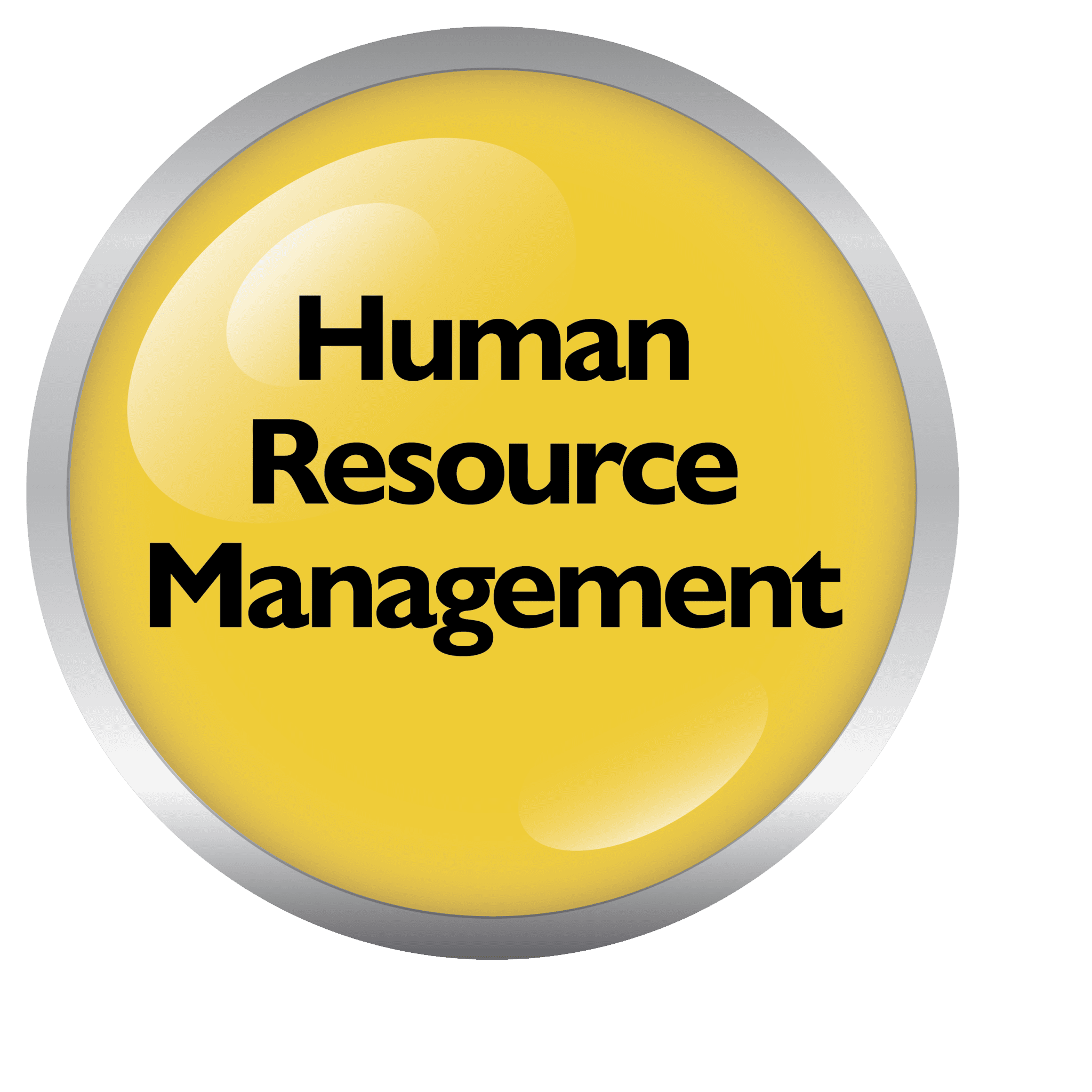 Human Resource Management SPICE Framework