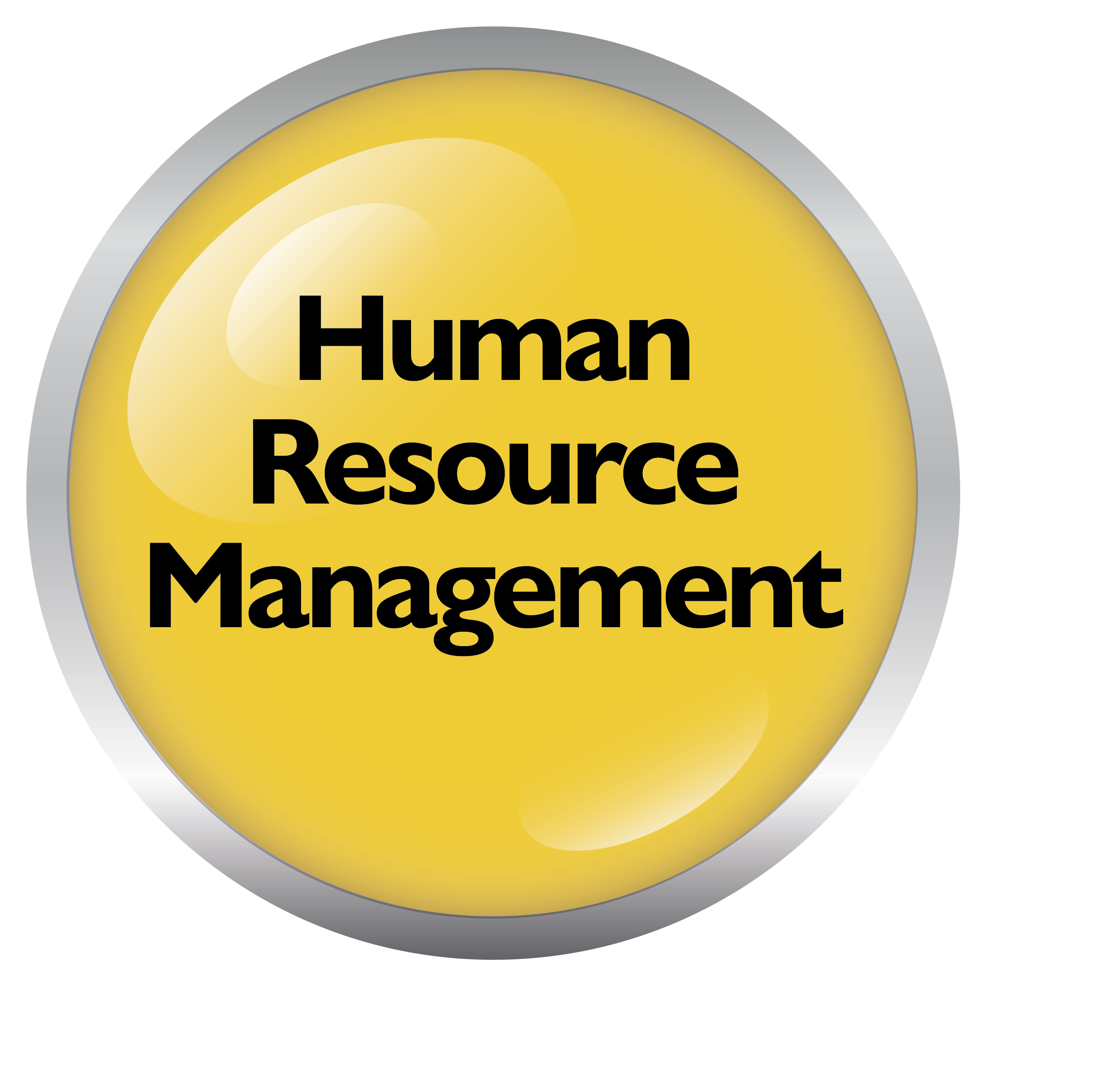 Human Resource Management SPICE Framework