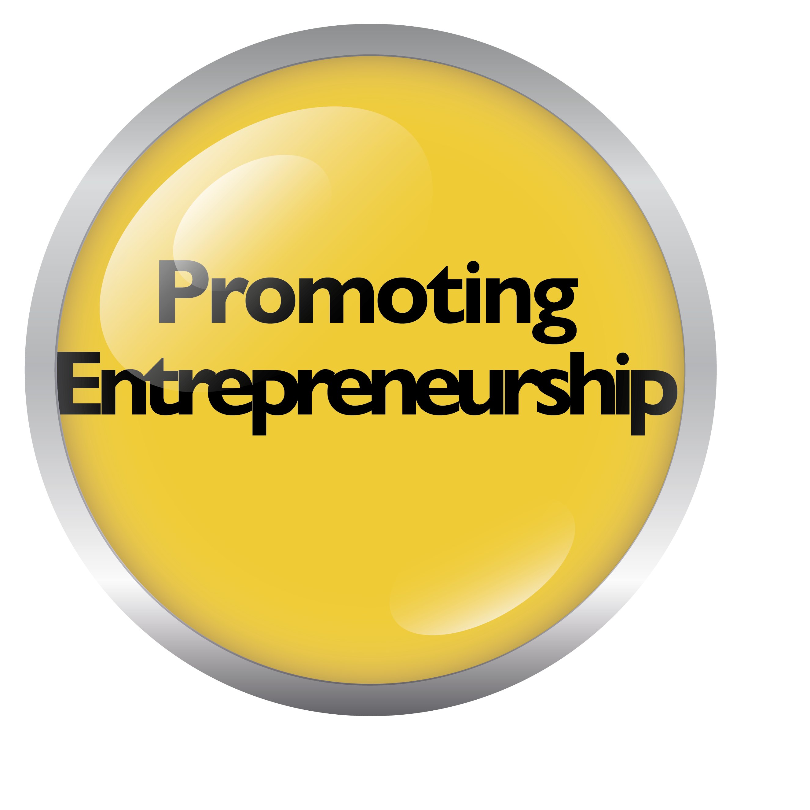 Promoting Entrepreneurship SPICE Framework