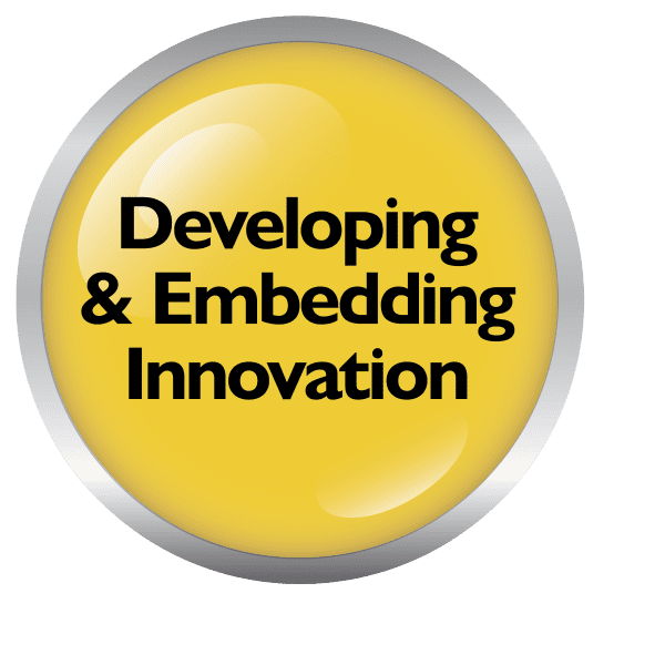 Developing and Embedding Innovation