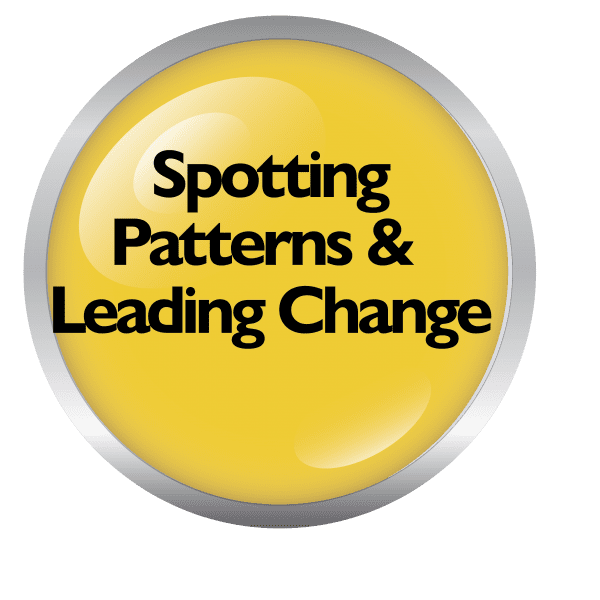 Spotting Patterns and Leading Change