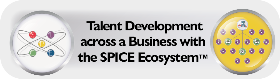 Talent Development Across a Business with the SPICE Framework